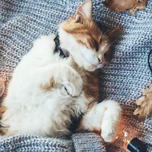 Meet your Posher, Kelda